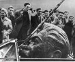 A crowd of protestors surround the demolished head of a statue of Stalin during the Hungarian Revolt. c. 1956notablehistory
