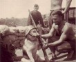German soldiers make a dog pose, WWII